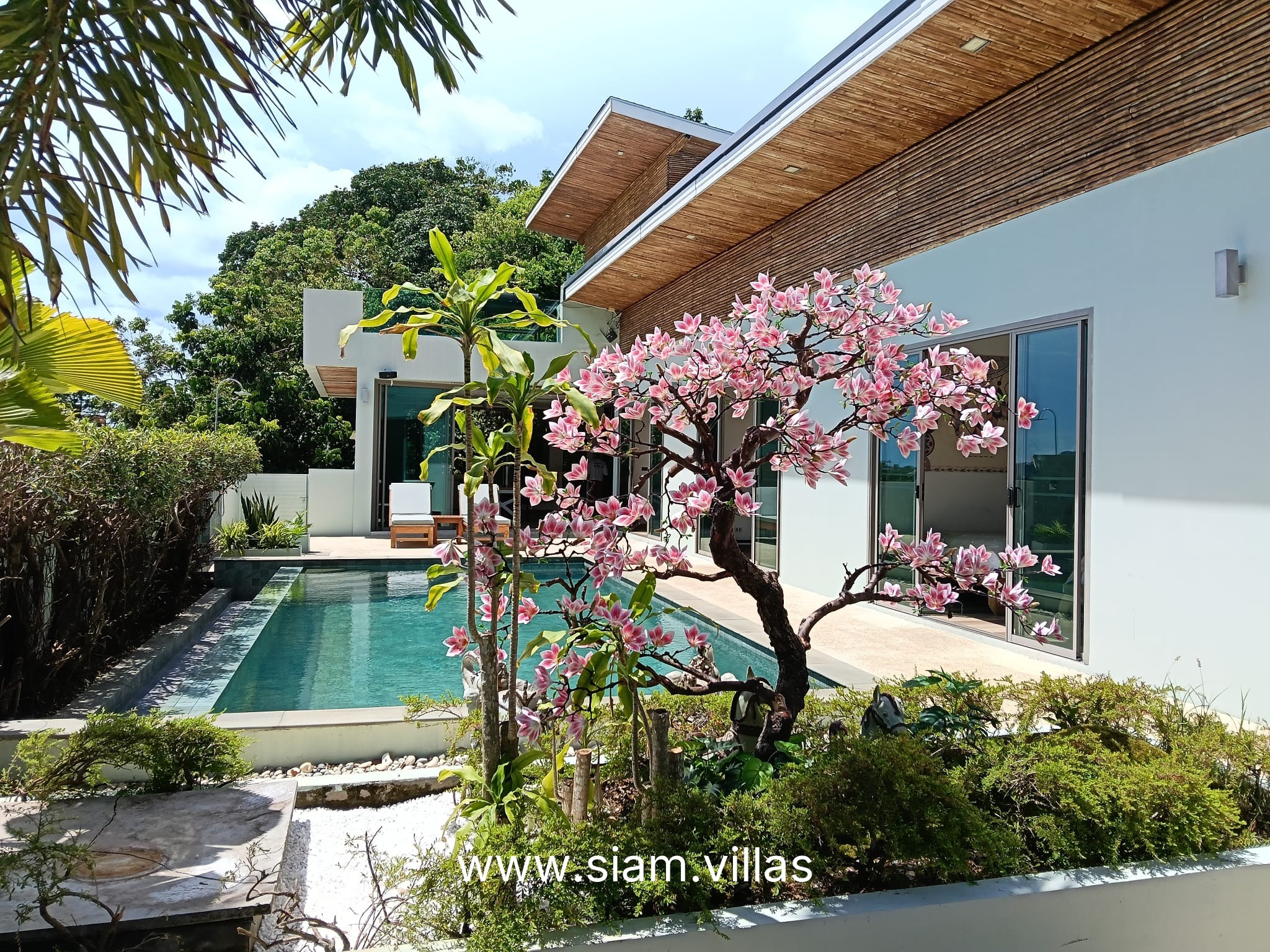 Bamboo Villa - Главное фото