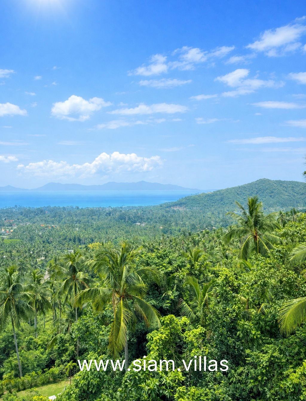 Coconut Residence - Фото 2