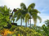 Stylish 3 Bedroom Pool Villas for Sale in Chaweng