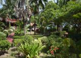 3 bedroom sea view villa for rent Samui